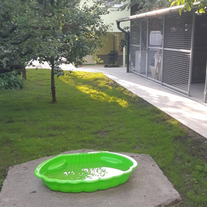 Tóparti Mini Kisállatpanzió