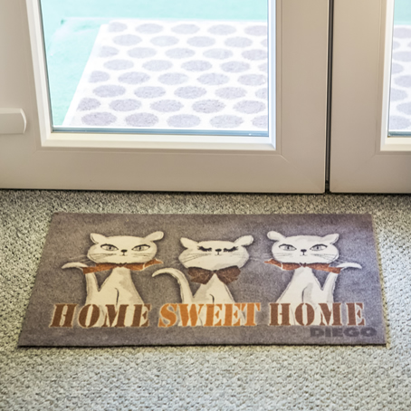 kutyás és cicák otthoni gondozása